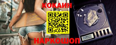 СК Новодвинск