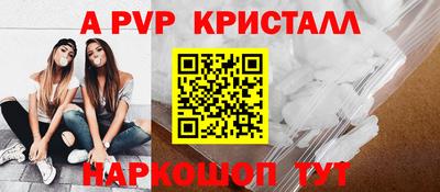 СК Новодвинск