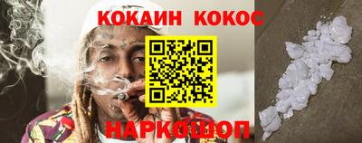 СК Новодвинск