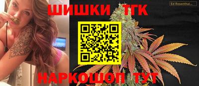 СК Новодвинск