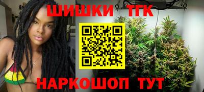СК Новодвинск