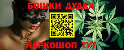 СК Новодвинск