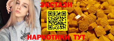 СК Новодвинск
