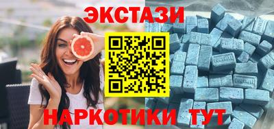 СК Новодвинск