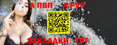 СК Новодвинск